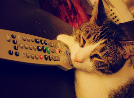 Kim: Flickr Creative Commons