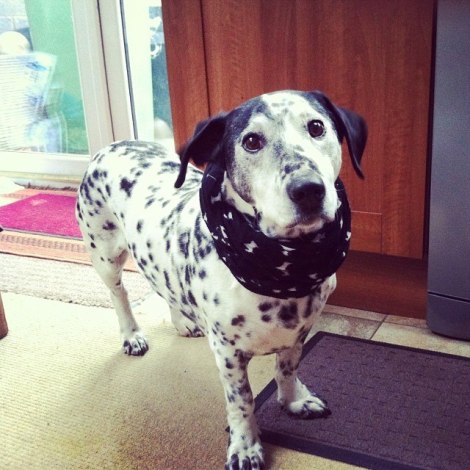 10407226_10152663971510887_1647438098994472505_n